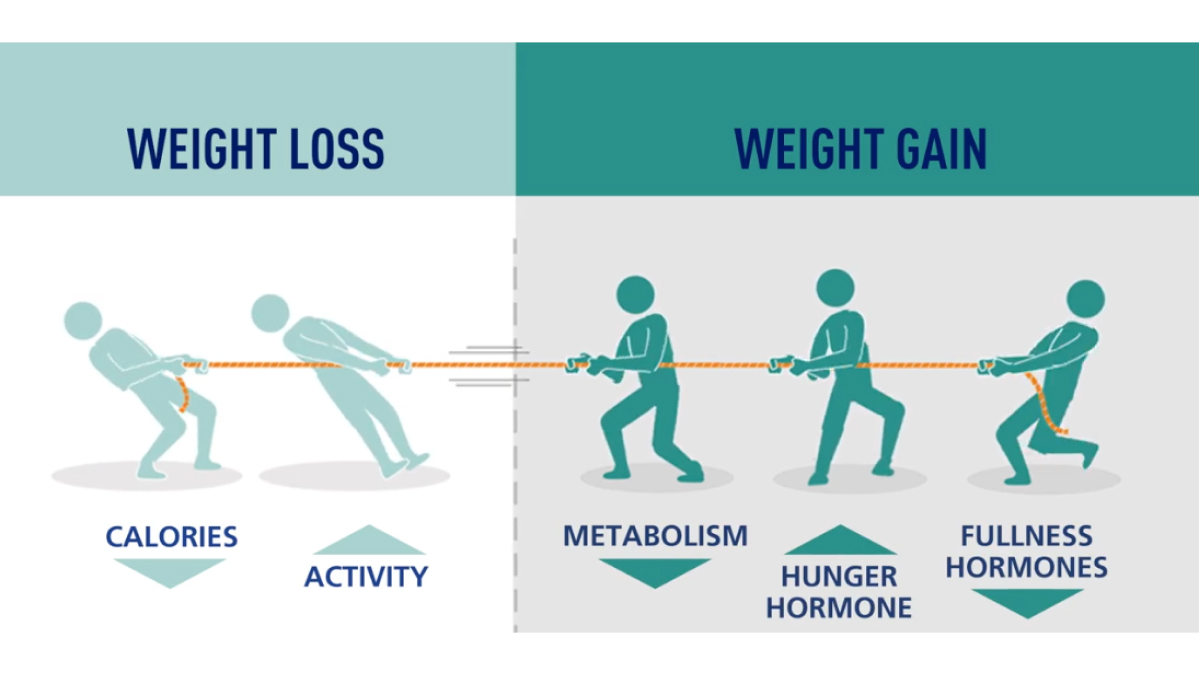 The tug-of-war of weight management